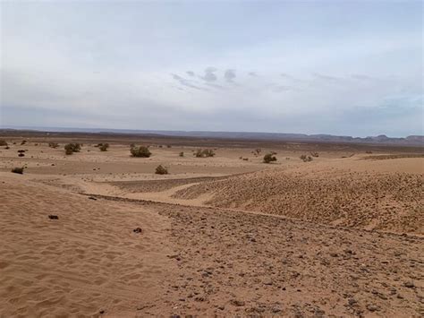 ERG CHEGAGA DESERT CAMP (M'Hamid) - Campground Reviews, Photos, Rate ...