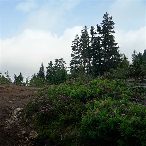 WanderingAway.com : Hiking Blanca Lake