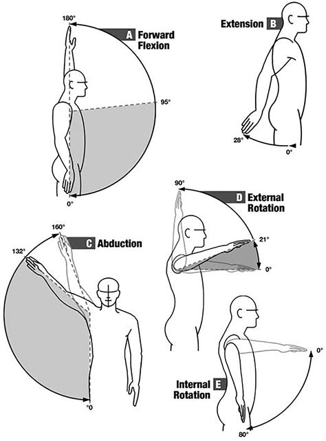 Shoulder Elevation