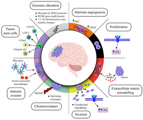 Obstacles to Glioblastoma Treatment Two Decades after Temozolomide