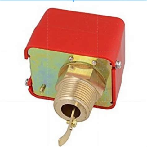 Water Flow Switch - Paddle Type Water Flow Switch Manufacturer from Mumbai