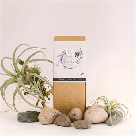 Best Sellers – Ivy & Fields