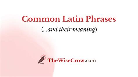 Common Latin Phrases and Their Meaning | The Wise Crow