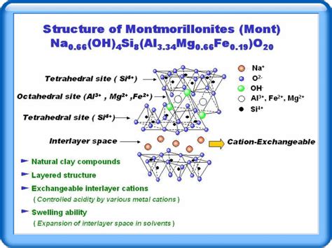 Image result for HEC-RAS Junction Models