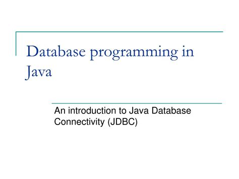 Java Database Simple Project 的图像结果