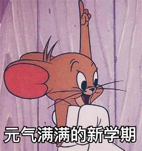 宿舍有老鼠怎么办？ - 知乎