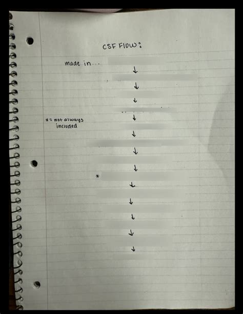 CSF Flow Chart 的图像结果