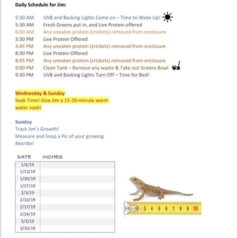 Daily Routine Printable Bearded Dragon Food Chart - Printable Learning ...