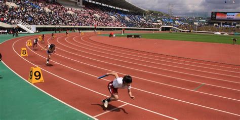 Programming Exercise 6.10 Python に対する画像結果