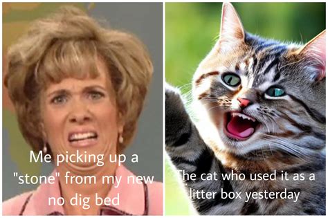 How's your day going so far? : r/NoDig