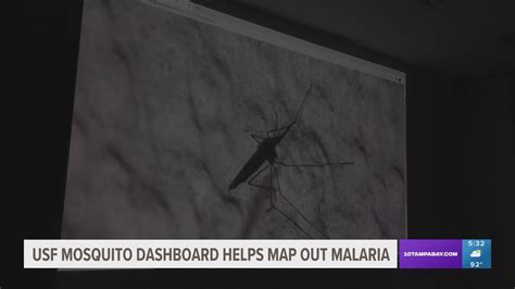 USF's global mosquito dashboard maps malaria cases | wtsp.com