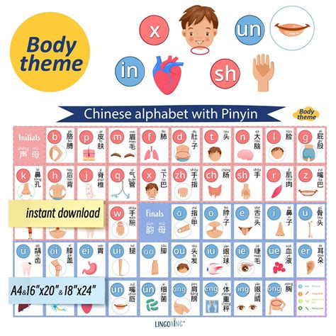 Chinese Language Alphabet 的图像结果