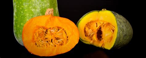 南瓜的热量(卡路里cal),南瓜的功效与作用,南瓜的食用方法,南瓜的营养价值