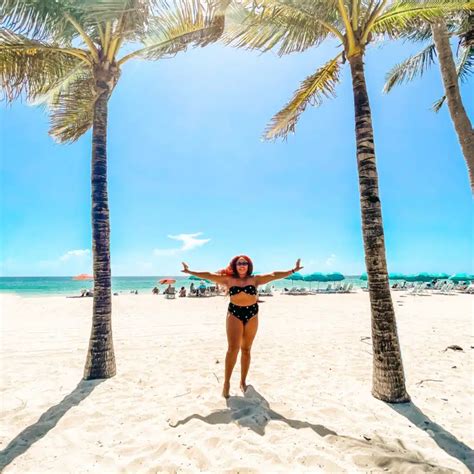 13 Spectacular Things to Do in Miami in January (2026) - The Traveling ...