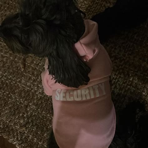 Palmer Williams Jr (@palmerwilliamsj) • Instagram photos and videos