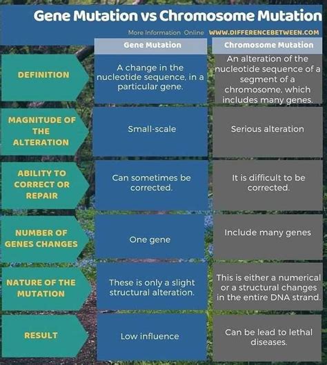 Gene mutation vs chromosome mutation ? - EduRev NEET Question