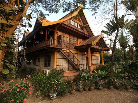 small jungle house design