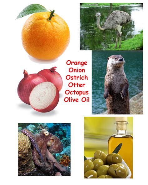 Objects Starting With O