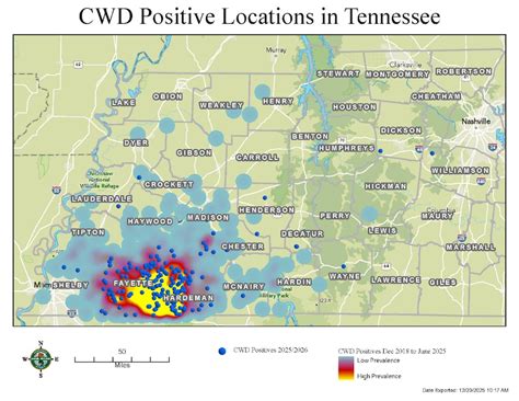 ‘Zombie deer disease’ cases found in deer hunted in Dickson and ...