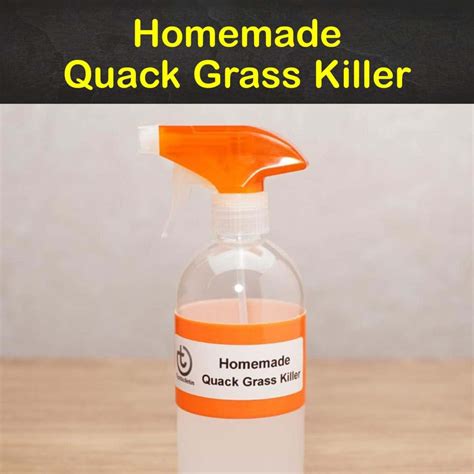 5 DIY Quack Grass Killer Recipes