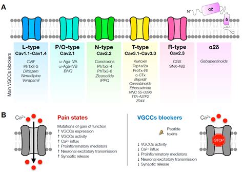 Vgcc Design, Synthesis And Biological Profile Of Mixed Opioid