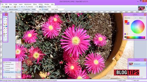 Image result for Tutorials for Paint.net