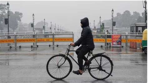 Delhi’s air quality improves amid rain - Nursery Today