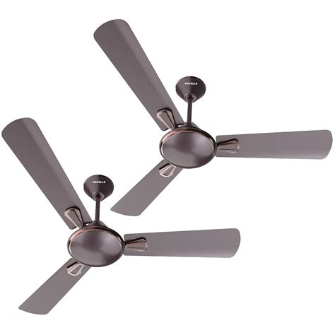 Buy Havells 1200mm Festiva ES Ceiling Fan| Premium Finish|Energy Saving ...