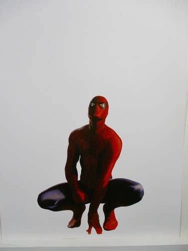 Marvel Comic Alex Ross Poster Spider-Man Spiderman India | Ubuy