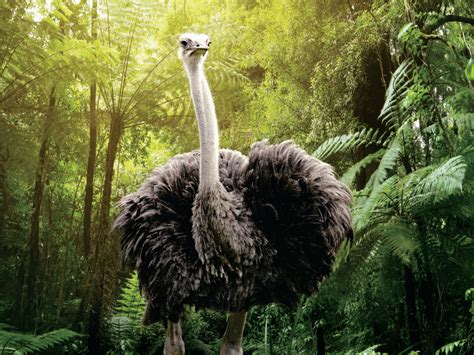 Bird Park | Best Bird Park near Mumbai | Tourist Attractions in Mumbai