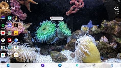 Image result for Android 10 for PC