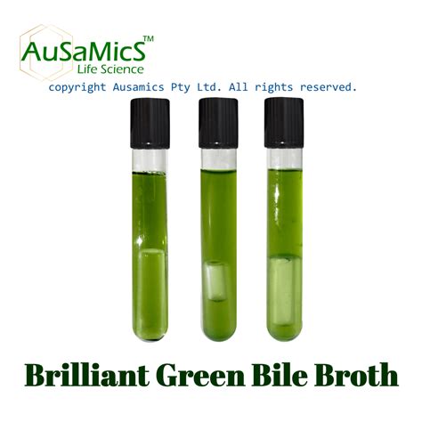 Brilliant-green Bile Broth 2%, BGBB | AuSaMicS