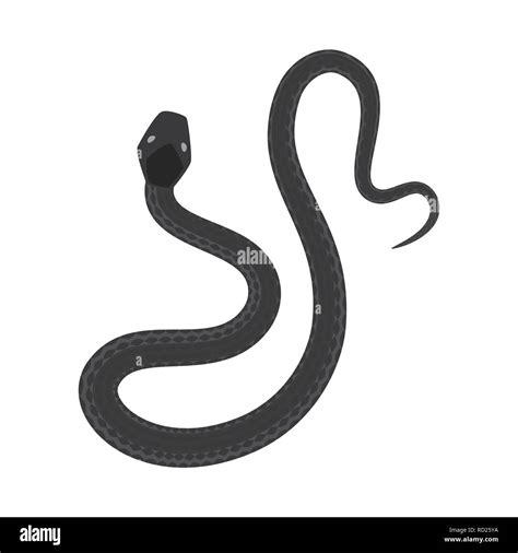 Image result for Python Snake Tail