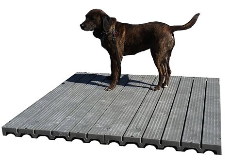 Six Popular Types Of Outdoor Kennel Flooring | Animal Hub