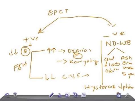 Progesterone Challenge Test 的图像结果