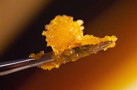 How Long Does Live Resin Last? Freshness Guide & Storage Advice | Herb - how long does live photo last