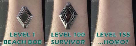 Image result for Syntax Ark