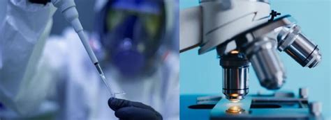 Image result for Stanford Biomedical Informatics Program