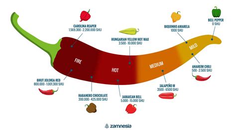 Hot Peppers And The Scoville Scale - Zamnesia