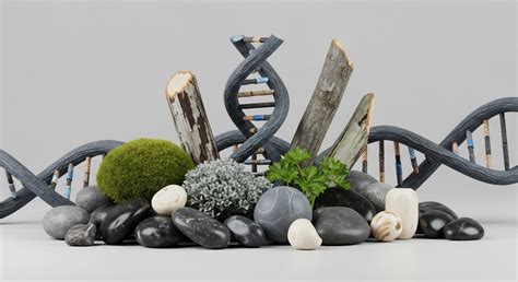 Problem-Driven Innovation Pathway → Area - conservation of natural resources in biology ss2