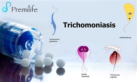 Trichomoniasis | Premilife - Homeopathic Remedies