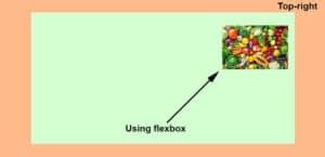 Display Image to Right Side CSS 的图像结果