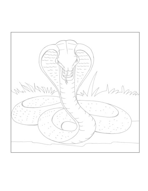 Dragons And King Cobra Coloring Pages [2025]
