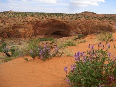 Wind Erosional Landforms - Pediments, Pediplains, Playas, Deflation ...