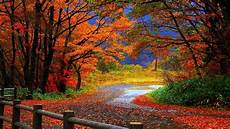 Lock Screen Fall Wallpaper by Backgrounds Fall Wallpaper Cave Lock Screen Fall Wallpaper