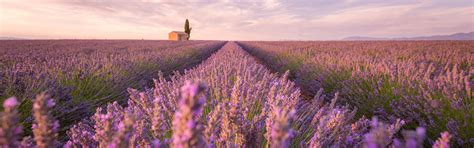 Holiday Accommodation & Lettings in Provence from ₹3,853 | HomeToGo