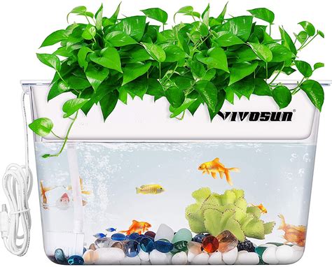 Aquaponics Plants Per Fish - Captions Pages