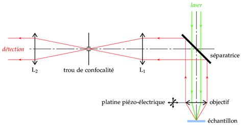 Image result for Microscope Schema Optique