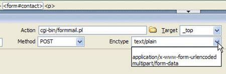 CGI Script in PHP 的图像结果