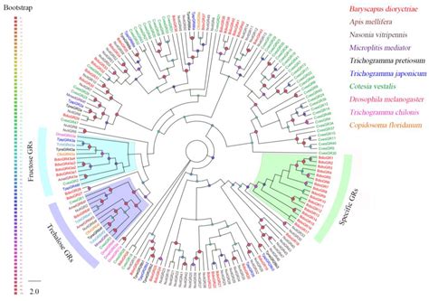 Transcriptome Analysis and Identification of Chemosensory Genes in ...